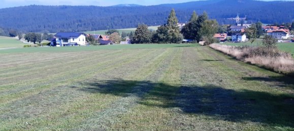  Land in Freyung-Grafenau, Germany No. 156941 6
