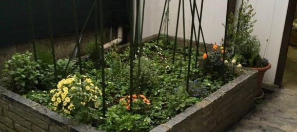 Вилла с 7 комнатами в Пьетрасанта, Италия № 171144 5