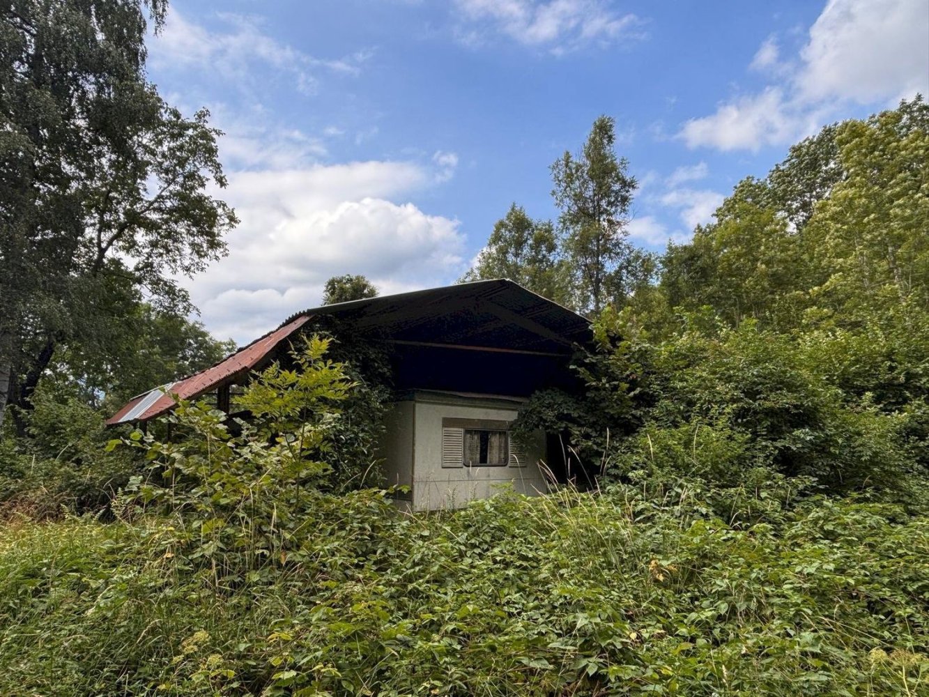 2-Zimmer Haus in Demonte, Italy, Nr. 260556