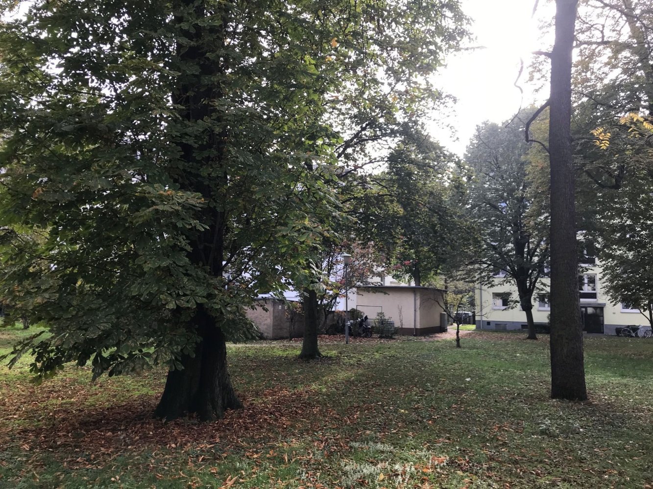 2-Zimmer Wohnung in Frankfurt am Main, Germany, Nr. 56213