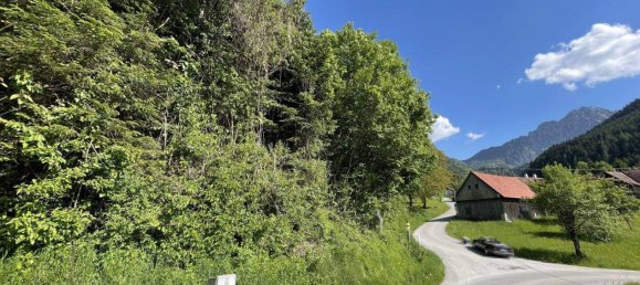  Land in Spital am Pyhrn, Austria No. 149712 7