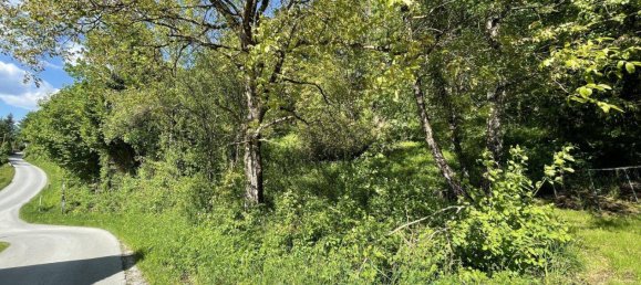  Land in Spital am Pyhrn, Austria No. 149712 4