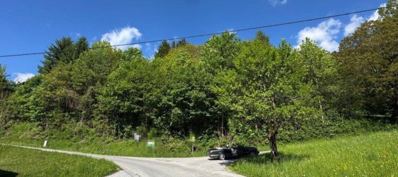  Land in Spital am Pyhrn, Austria No. 149712 2