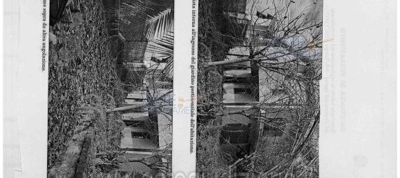 11-salle Maison à Nepi, Italy No. 32209 6