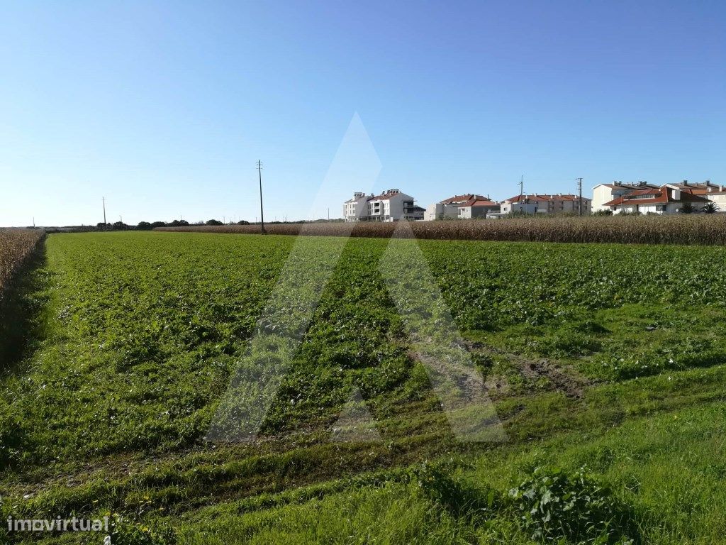11910m² Land in Vagos, Portugal No. 89445
