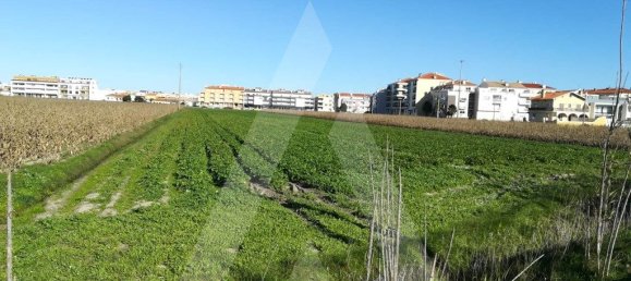 11910m² Land in Vagos, Portugal No. 89445 5