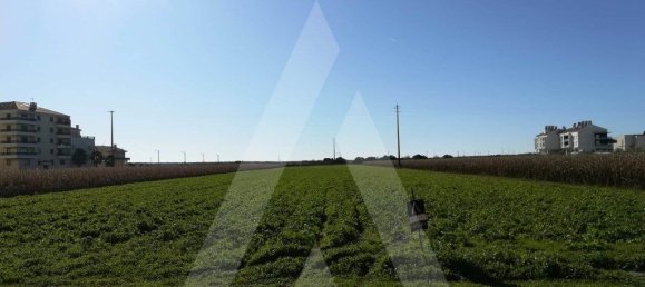 11910m² Land in Vagos, Portugal No. 89445 4