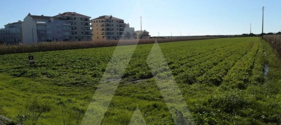 11910m² Land in Vagos, Portugal No. 89445 2