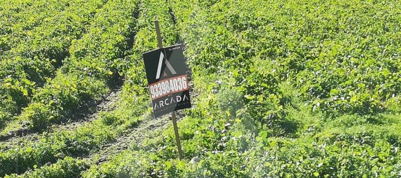 11910m² Land in Vagos, Portugal No. 89445 9