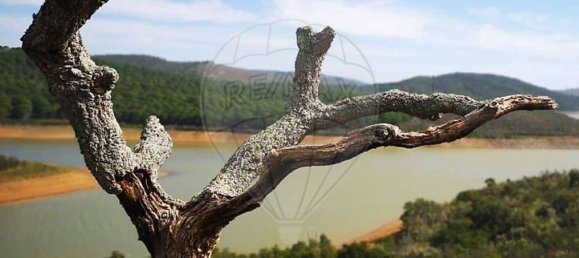 5 chambres Maison à Lagos, Portugal No. 13091 20