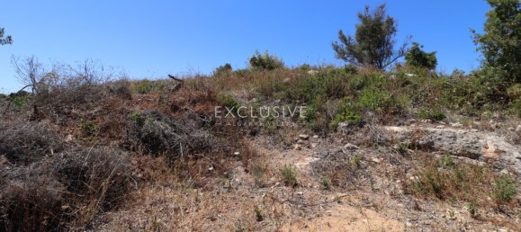 Terrain à Lagoa, Portugal 342m² No. 117966 2