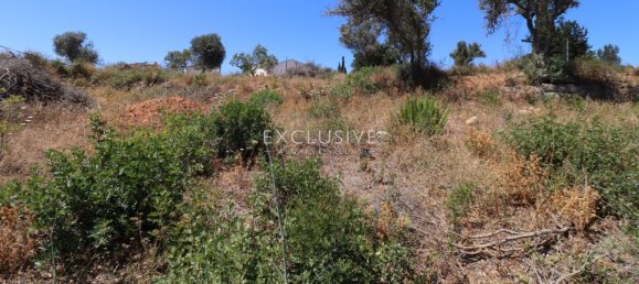 Terrain à Lagoa, Portugal 342m² No. 117966 5