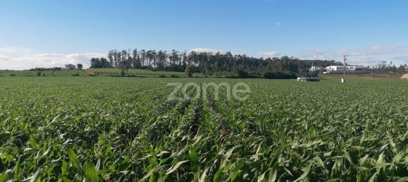 2700m² Land in Trofa, Portugal No. 32081 10