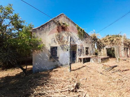 Casa T3 em Oliveira do Conde, Portugal N.º 163181