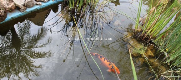 2 bedrooms Apartment in Marbella, Spain No. 78356 16