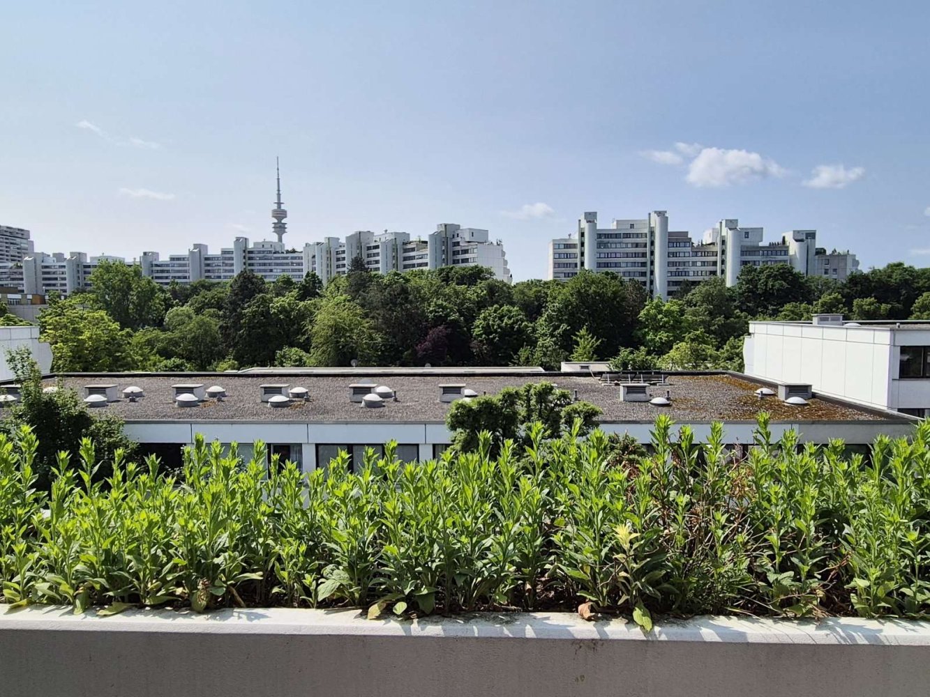 4-Zimmer Doppelhaus in München, Germany, Nr. 346113