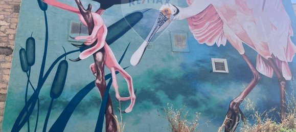 2 غرف نوم شقة في Lentini, Italy رقم 346075 18