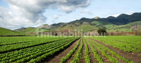 Гараж с 4 спальнями в Фьюмефреддо ди Сицилия, Италия № 278188 23