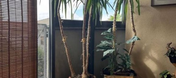 Villa T5 em Induno Olona, Italy N.º 296859 27