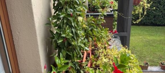 Villa T5 em Induno Olona, Italy N.º 296859 37