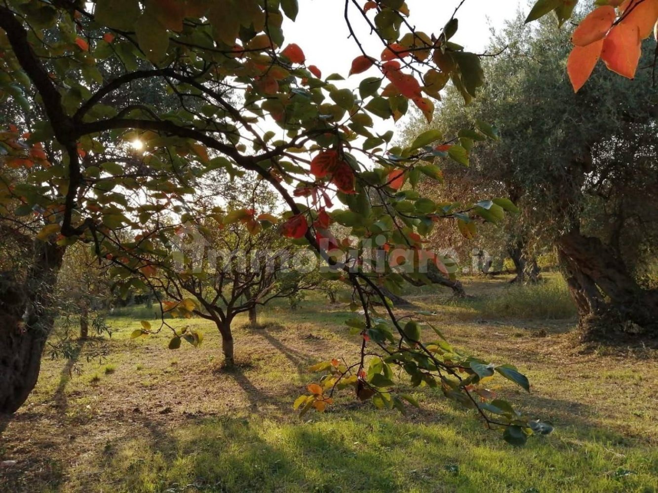 Grundstück in Barcellona Pozzo di Gotto, Italy 1750m², Nr. 375240