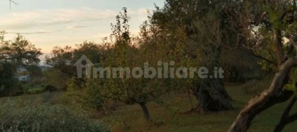 Grundstück in Barcellona Pozzo di Gotto, Italy 1750m², Nr. 375240 4