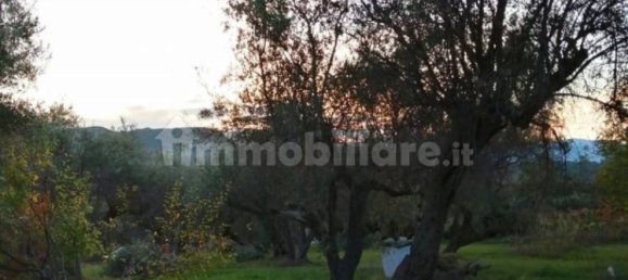 Grundstück in Barcellona Pozzo di Gotto, Italy 1750m², Nr. 375240 2