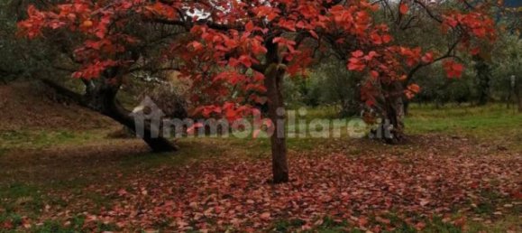Grundstück in Barcellona Pozzo di Gotto, Italy 1750m², Nr. 375240 3