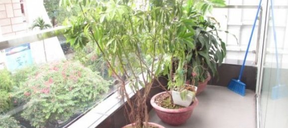 2 bedrooms Apartment in Hoan Kiem, Vietnam No. 2507 8