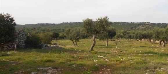 Земельный участок 14500м² в Криспьяно, Италия № 105885 4