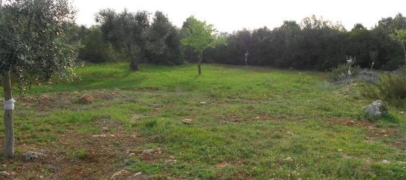 Земельный участок 14500м² в Криспьяно, Италия № 105885 3