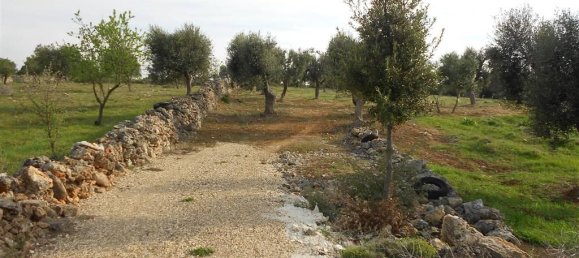 Земельный участок 14500м² в Криспьяно, Италия № 105885 2