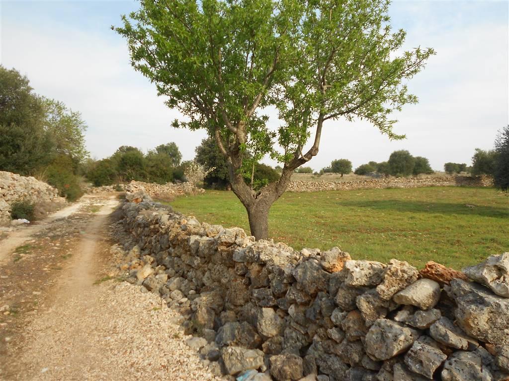 Земельный участок 14500м² в Криспьяно, Италия № 105885