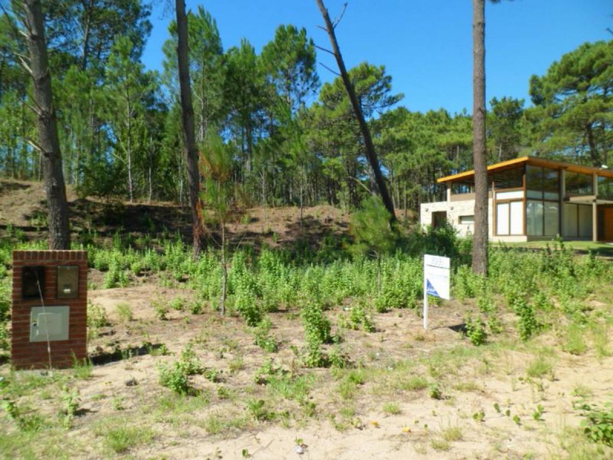  قطعة أرض في Mar del Plata, Argentina رقم 114804