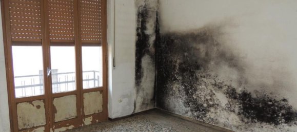 2 rooms Apartment in Tromello, Italy No. 94150 19