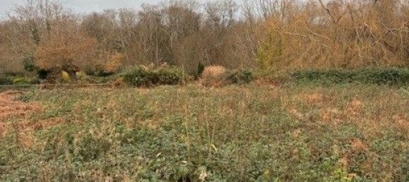 Terrain à Concarneau, France No. 330820 2