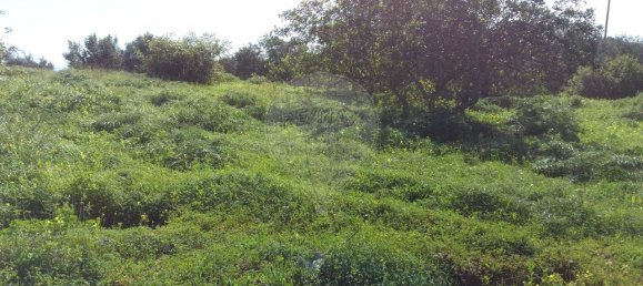 5000m² Land in Loule, Portugal No. 152149 10