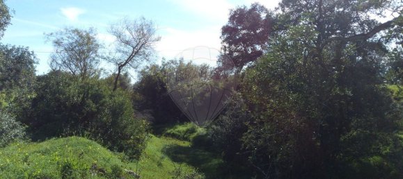 5000m² Land in Loule, Portugal No. 152149 11