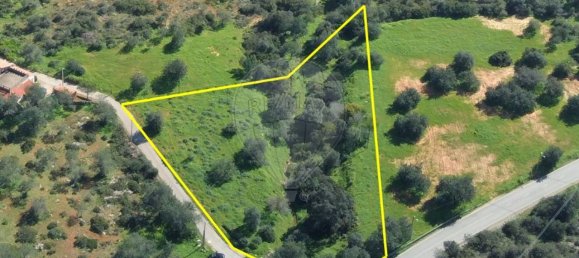 5000m² Land in Loule, Portugal No. 152149 7