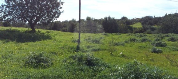 5000m² Land in Loule, Portugal No. 152149 8