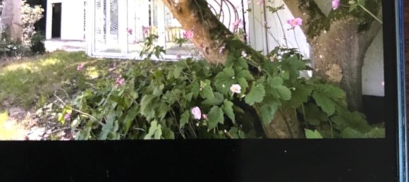 1 bedroom House in Hochtaunuskreis, Germany No. 249710 2