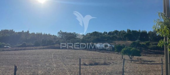 2 bedrooms House in Santiago do Cacem, Portugal No. 74959 19