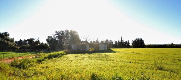  Land in Llubi, Spain No. 152745 17