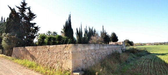 Land in Llubi, Spain No. 152745 12