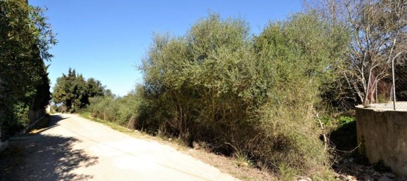  Land in Llubi, Spain No. 152745 18