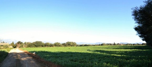  Land in Llubi, Spain No. 152745 15