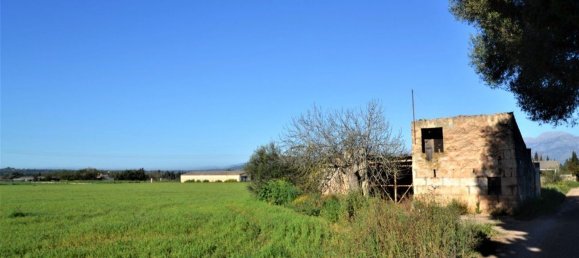  Land in Llubi, Spain No. 152745 2