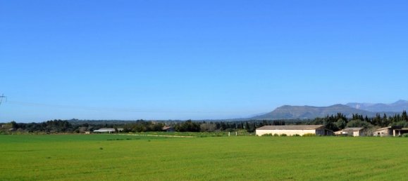  Land in Llubi, Spain No. 152745 16