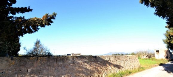  Land in Llubi, Spain No. 152745 13