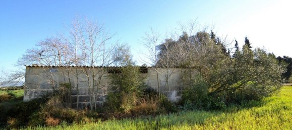  Land in Llubi, Spain No. 152745 10